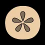 sandollar.webp